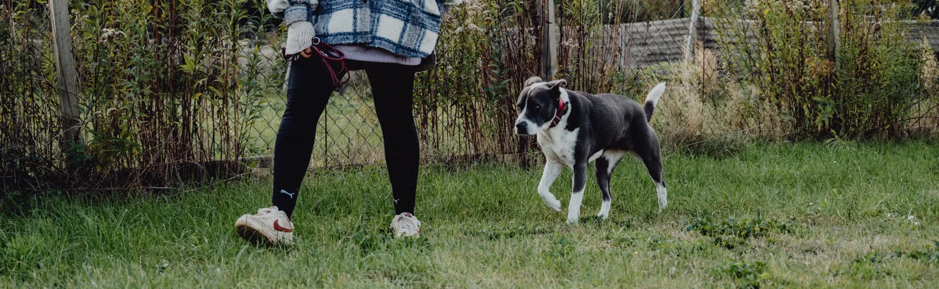 Hundetrainerin Katja Brehmer beim Training mit einem Hund