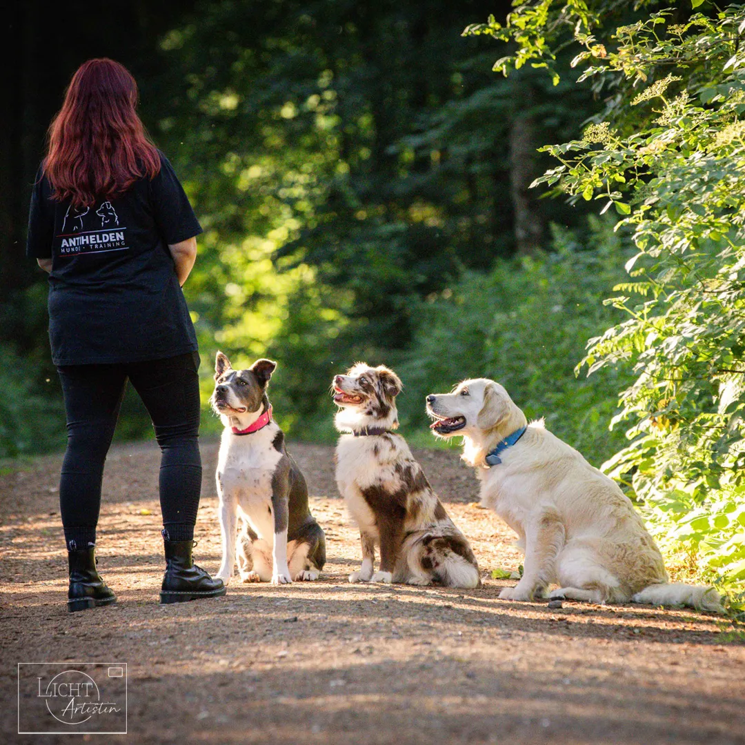 Katja Brehmer mit ihren Hunden im Freien