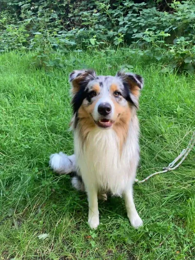 Foto von Lena mit Sid