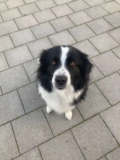 Foto von Marc mit Runa