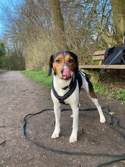 Foto von Zara mit Neville
