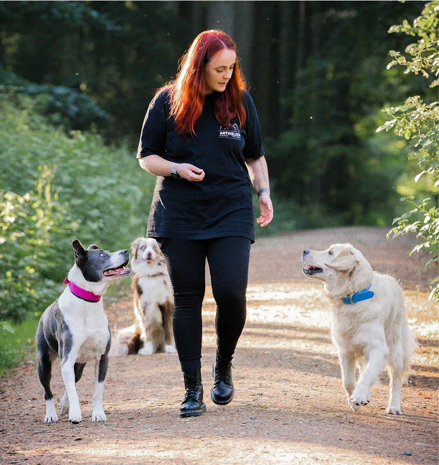 Katja Brehmer bei der Arbeit mit einem Hund